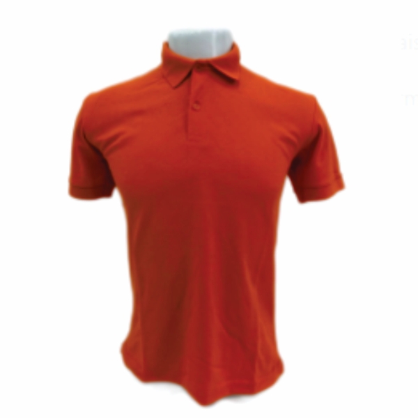 Polo Masculina